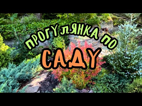 МІЙ САД. Посухостійкі рослини для сонячних місц. 🌿🧡