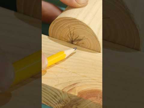 A simple way to find the center of a circle #diy #ideas #tips #tricks