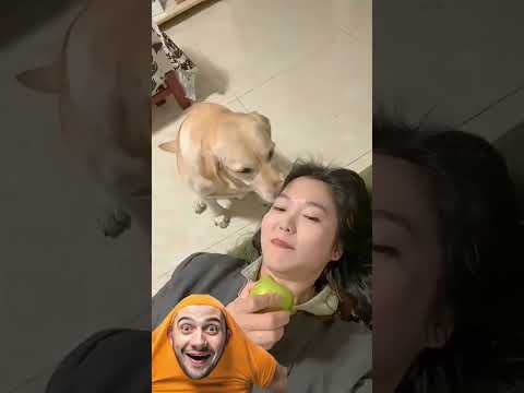 أكلت الانسانة😂#اضحك #ضحك #دويتو #السعودية #العراق #ترند #شلتنا #اعتني