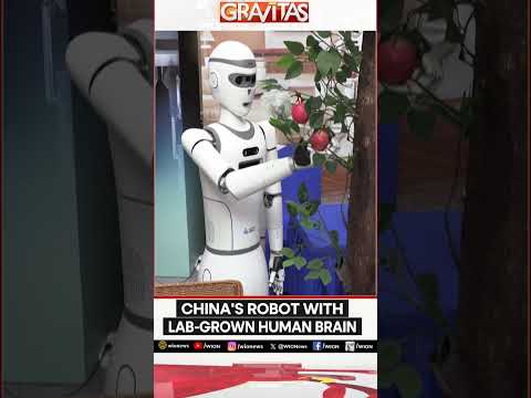 Gravitas: Chinese scientists develop robot with lab-grown human brain | Gravitas Shorts