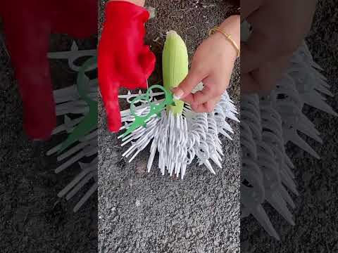 #automobile #foodproduction #foodbusiness #agriculture #foodindustry #farm #foodsector #farmlife