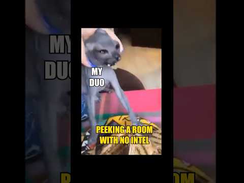 Siege duos #rainbow6siege #rainbow6 #siege #bozonbunch #streamer