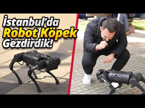 100.000 TL’lik Robot köpekle İstanbul’u gezdik!