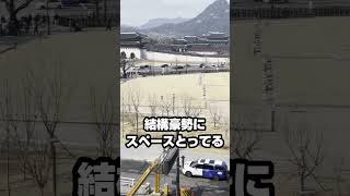 韓国あるある2-同じものを見た人はコメントください【 韓国 旅行 】#shorts