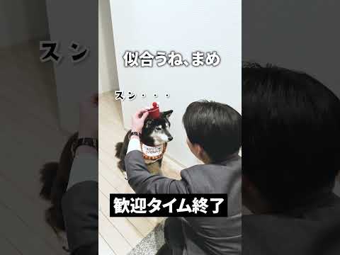 【北海道知事】柴犬が知事をお祝いします