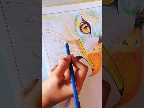 how to draw a cute eagle with colour pencil ✏️  | eagle drawing |chil | Priya_hindu_108 I