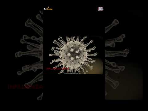 Pandemi COVID-19 Adalah Eksperimen Epstein & Bill Gates!? #shorts #epsteinfiles