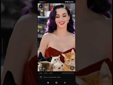 katyperry cats #katyperry #song #viral #cat #tiktok #dance #singer #fypシ #funny #viralvideos