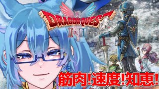 【 ドラゴンクエストI＆II 】睡眠導入擬き 姫や王子と共に物語は2に受け継がれる…　旅を続けよう【 クノイチ #vtuber 】