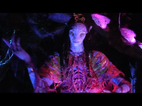 Amazing Shaman animatronic in Na'vi River Journey, Pandora - The World of Avatar, Walt Disney World - UCYdNtGaJkrtn04tmsmRrWlw