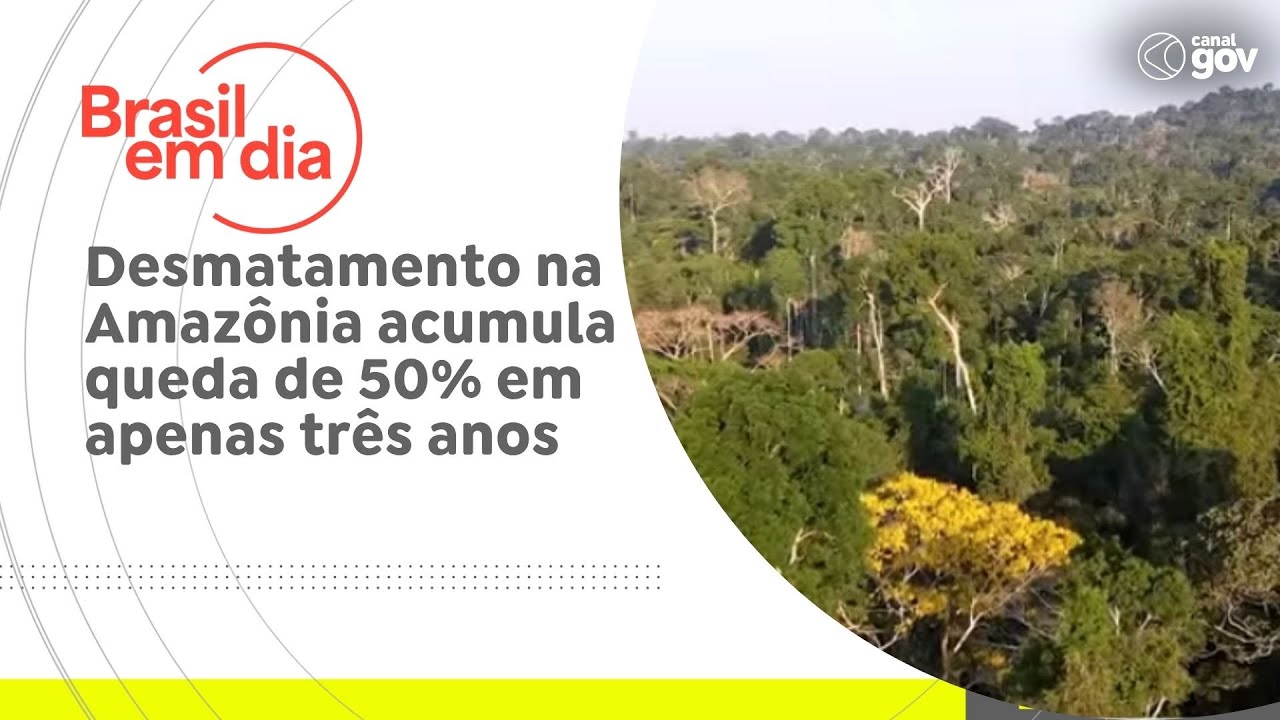 Desmatamento na Amazônia acumula queda de 50% em apenas três anos