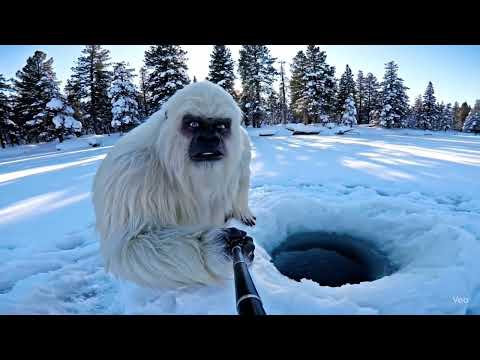 FROSTY FLOWS -- (ICE BATH CHALLENGE)