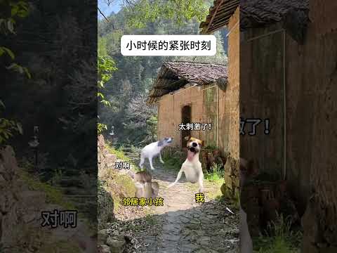 猫の動画サムネイル - 小时候紧张时刻#有趣 #猫meme #猫meme剧场 #猫meme小剧场 #内容过于真实  #故事 #貓 #猫猫meme小剧场 #喵不可言