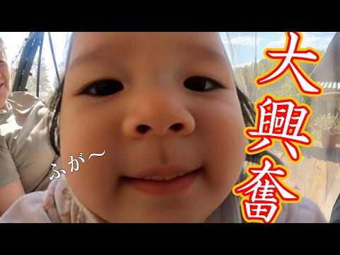 【田舎生活】日帰りで田舎へ行ったら娘が大興奮⋯気をつけてご覧ください🙇