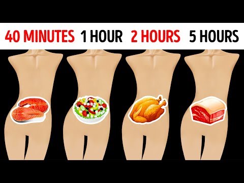 How Long Your Favorite Food Stays In Your Stomach - UC4rlAVgAK0SGk-yTfe48Qpw