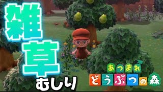 【あつ森】ある意味きれいではない【勿忘みゆ/AiceClass】