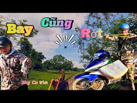 Dùng Ná Cao Su AE Đi Săn 1 Mớ Cu Vằn_Cò_Bất Ngờ Hạ Bìm Bịp Đang Bay Ra Bờ Đập Lai Rai||SangSlingShot