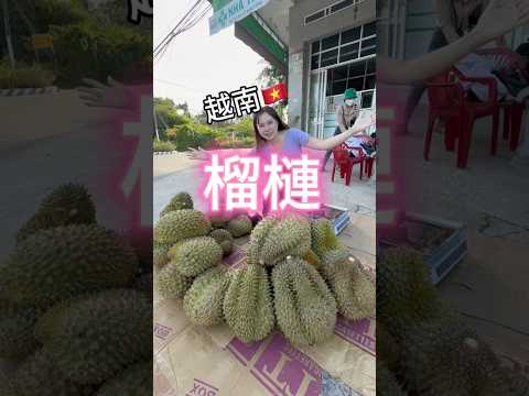 #越南榴槤 #越南旅遊 #小資女趴趴走