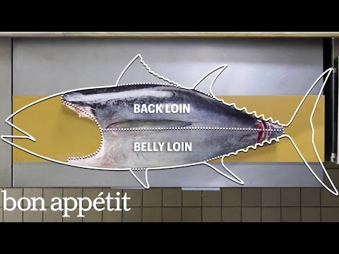 How To Butcher a Whole Tuna: Every Cut of Fish Explained | Handcrafted | Bon Appétit - UCbpMy0Fg74eXXkvxJrtEn3w