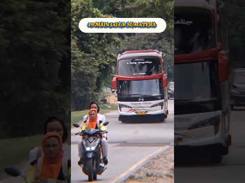 PLAT MANA YA ITU 🤔😎 #bus #akap #shorts #trending