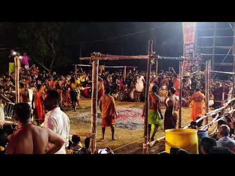 agni kavadi Kunnoorsala sree dharma sastha Temple kachani thaipooyam 2k25