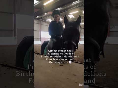 your everything I wanted