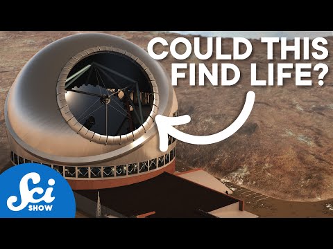 The Future of the Search for Life
