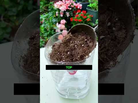 Turn an Old Bucket Into a Self-Watering Planter 🪣🌱💧|| #ContainerGardening #SelfWateringPlanter#plant