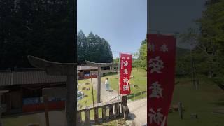 宮司の神前参拝⛩️心整える#神社 #healing #shorts