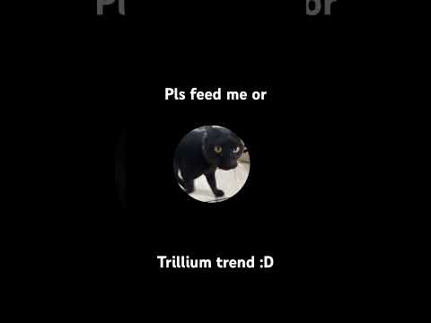 Trillium trend #shortvideo