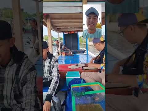 #Mancingmania#selaluBerkarya👍