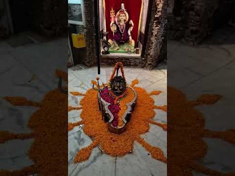 #Har Har Mahadev 🙏🏻🙏🏻🙏🏻🙏🏻🙏🏻🙏🏻🙏🏻🙏🏻🙏🏻🙏🏻🙏🏻🙏🏻🙏🏻