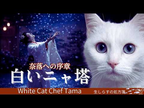 白いニャ塔【タマのごはん処】栄光の陰に潜む「奈落への序章」