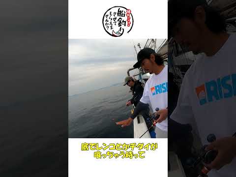 外道が多い時のマダイの狙い方