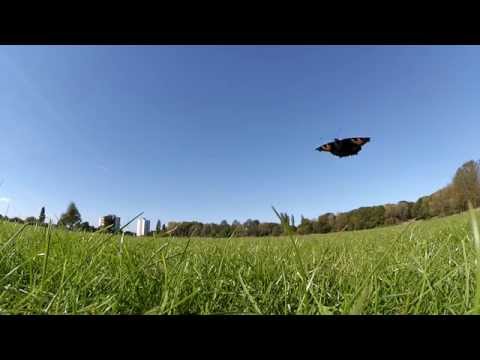 Butterfly effect FPV ZMR250 V2 - UCb6K0deoamjOMUOgDxPr6gg