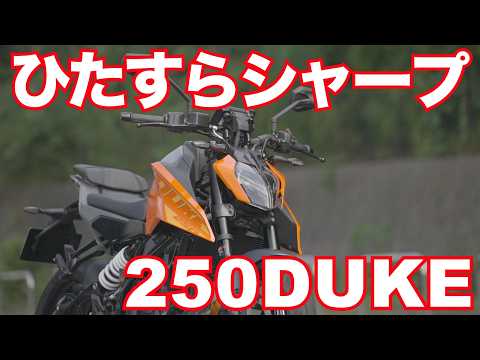 250DUKE（KTM) インプレ後編・ひたすらシャープな運動性で高速道路も楽しめる！KTM 250 DUKE (2024) TEST RIDE IN JAPAN