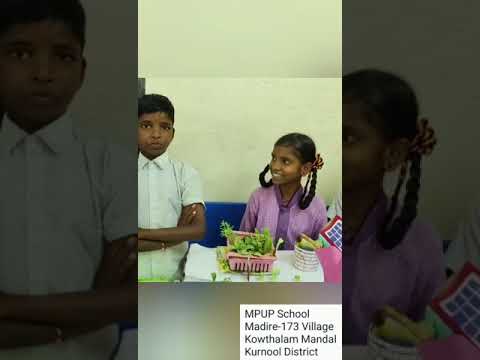 science projects @sunithamaths6776 #global warming #very clear explanation #tips to stop this