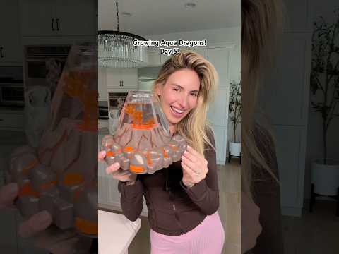 Hatching and growing Aqua Dragons!! Day 5!