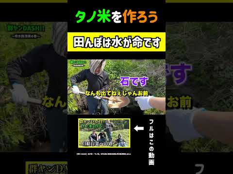 『【群ヤンDASH】水が命!「タノ米」を作る為に地域の皆様と用水路清掃をしました』#群馬のヤンキー#田植え#稲作#tokio #shorts