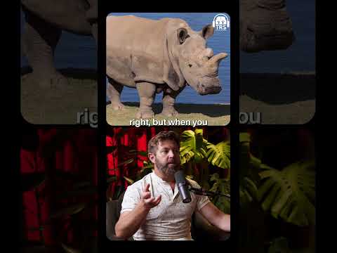 What Is Colossal Biosciences? #shorts