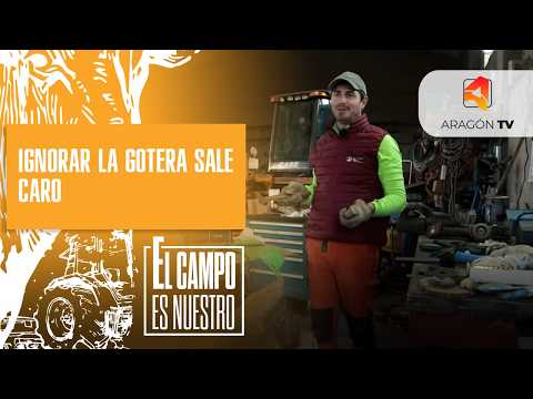 El que no acude a la gotera, acude a la casa entera