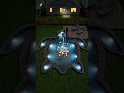 Amazing Turtle Backyard Pond #shorts