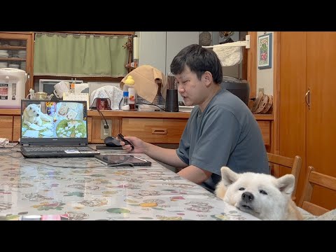 熱く講演会の練習をする兄の話を聞きながら眠くなっちゃた柴犬