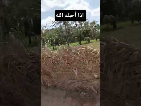 اذا أحبك الله #قراقيش_فود #اكسبلور