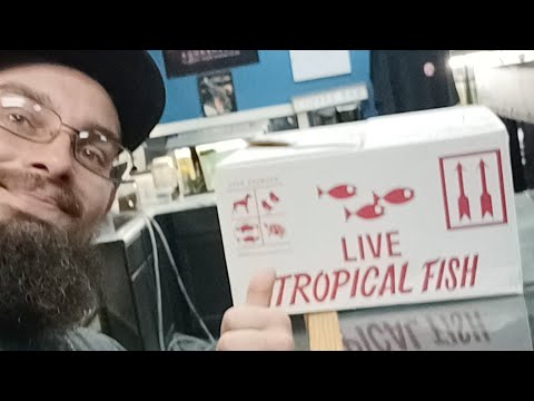 Late Night Unboxing Here At Michigan Tropicals late night unboxing :-)