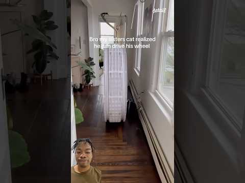 He been driving longer then me💀