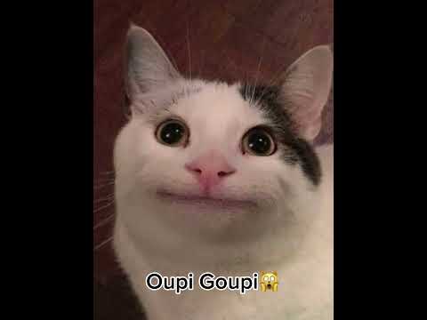 Ne joue pas avec mon gang…