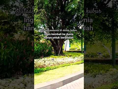 Jutaan manusia didalam kubur ingin kembali ke dunia hanya untuk Ibadah #ceramahsingkat #viral #video