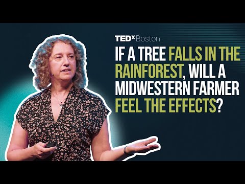 We broke the rain meddling with the planet's cooling system. What now? | Erica Gies | TEDxBoston