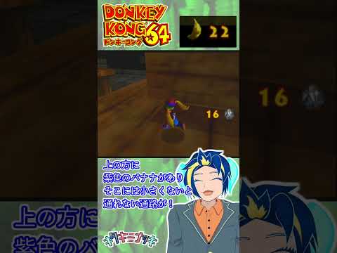 thumbnail__vN2ErXLyZA
